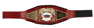 1991 Vinny Paz USBA Junior Middleweight Champion Belt (Paz LOA)